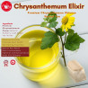 Chrysanthemum Elixir (Premium Chrysanthemum Chinese Herbal Tea)